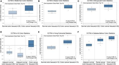 Chaperonin-Containing TCP1 Subunit 6A Is a Prognostic Potential Biomarker That Correlates With the Presence of Immune Infiltrates in Colorectal Cancer